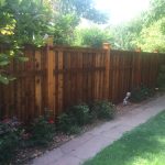 Privacy fence installed in a backyard, surrounded by plants and trees