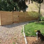 Privacy fence with a gate