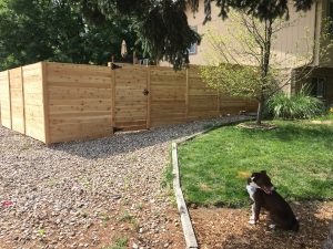 Privacy fence with a gate