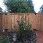 Privacy fence with a gate on both ends