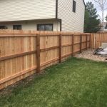 Newly installed wood fence in a backyard